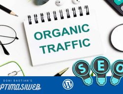 Organic Traffic